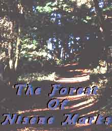 Preserve The Serenity Of Nisene Marks