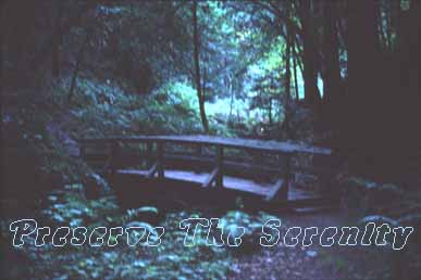 Preserve The Serenity Of Nisene Marks